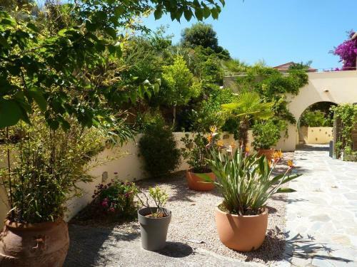 Apartamentos R�sidence Casa R�gina