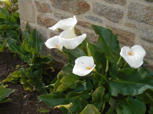 Bed & Breakfast Domaine De Kervail