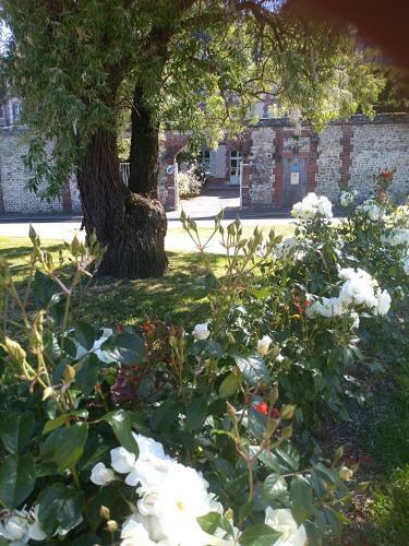 Bed & Breakfast La Chambre De Margaux
