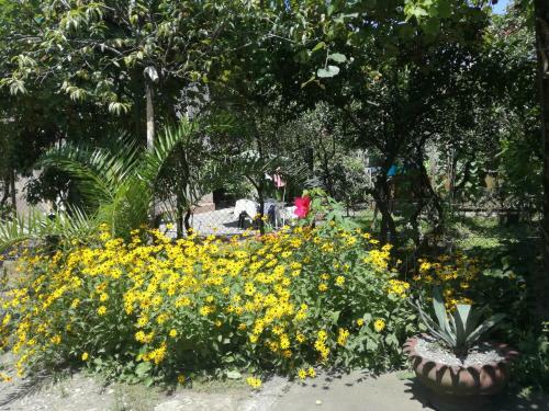 Hostal Guest House Makhinjauri