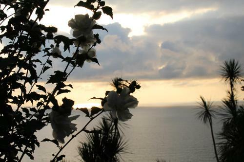 Hostal Holiday House Green Cape Batumi