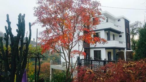 Hostal Holiday House Green Cape Batumi