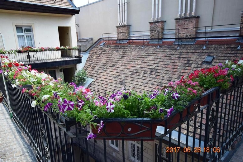 Residencia Eitans Guesthouse