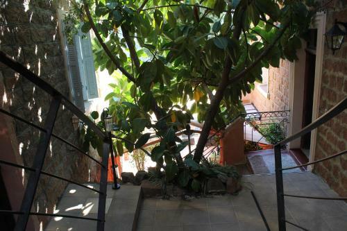Hotel H�tel Bella Vista