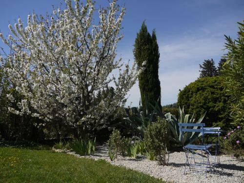 Bed & Breakfast Mas Des Marguerites