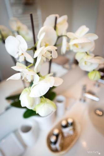 Bed & Breakfast Villa Verde La Rochelle
