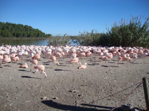 Sandilou "les Petits Bonheurs"