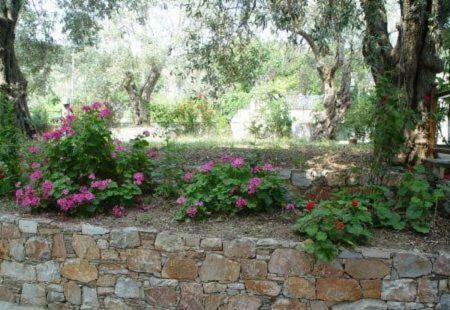 Hostal Pansion Prodromina