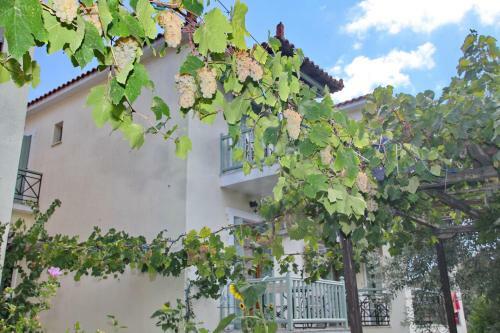 Hostal Pansion Prodromina