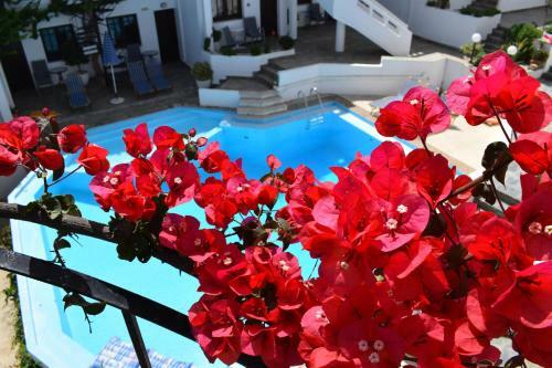 Apartamento Egli Studios