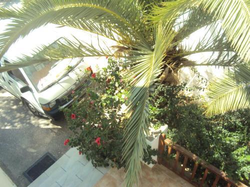 Hostal Golden Star
