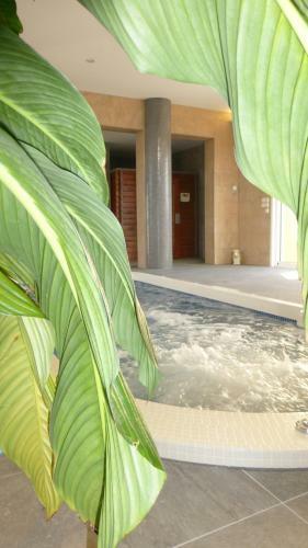 Hotel H�tel Ariane & Spa