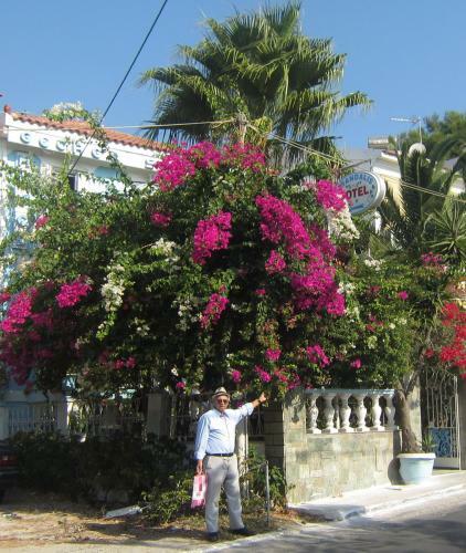 Hostal G. Sandalis Hotel