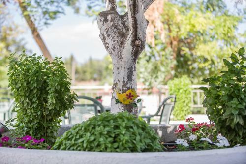 Bed & Breakfast Pegasus Rooms