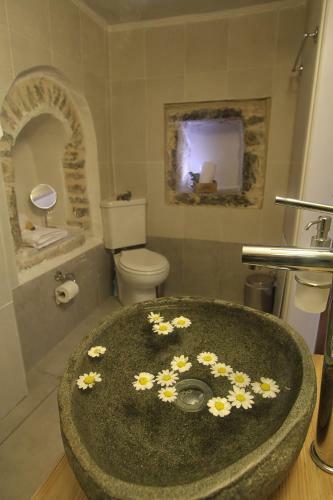 Hotel Mesta Mastic