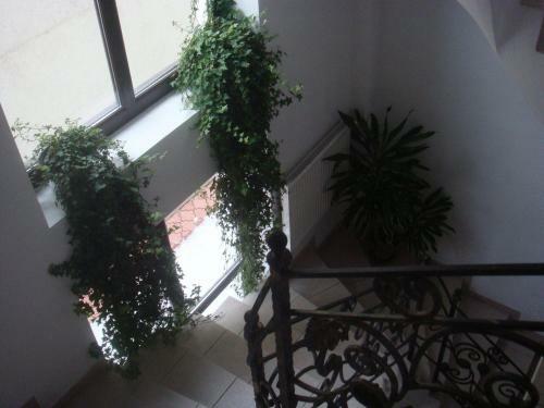 Apartamento Villa Edera Residence