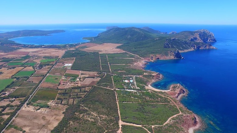 Villaggio Camping Torre Del Porticciolo