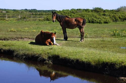 Bed & Breakfast Le Lys Des Sables
