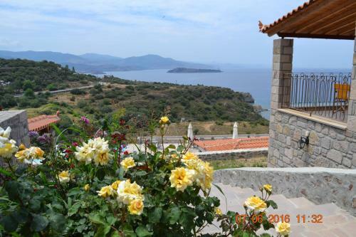 Hostal Villa Molivos Castle