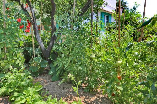 Spring Bliss Garden House
