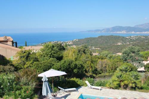 Villa Piscine 10 Personnes Porticcio