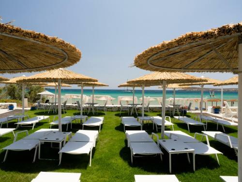 Amaryllis Beach Hotel