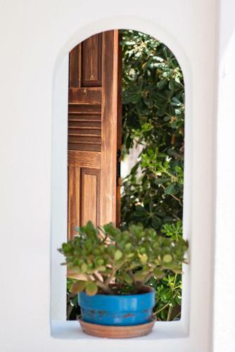 Apartamento Athena's Houses