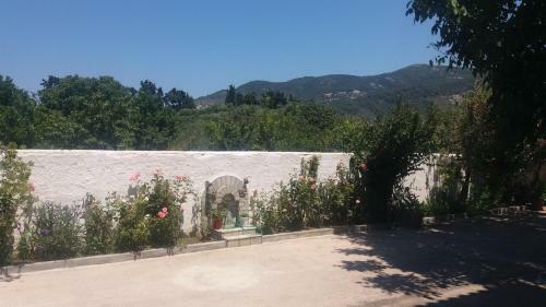Hostal Stoudios Galini