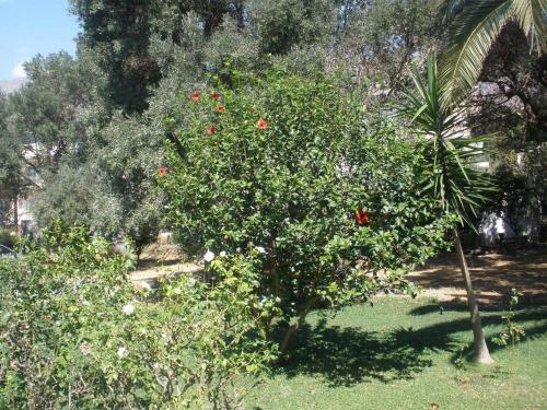 Livadi Apartments