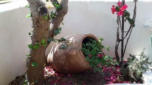 Apartamento Granny's House New