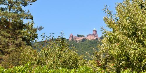 Logis Hotel Le Parc & Spa