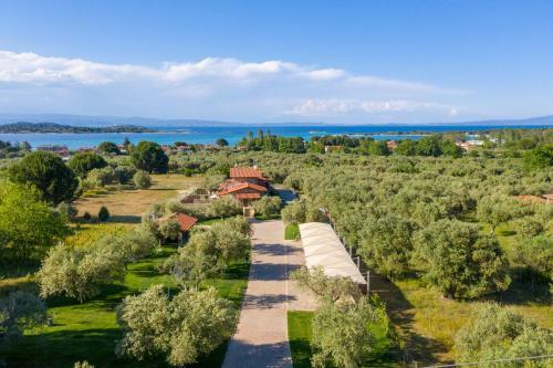Five Senses Luxury Villas
