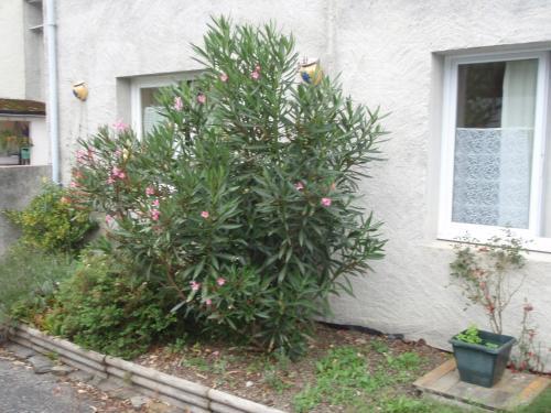 Apartamento Anglas