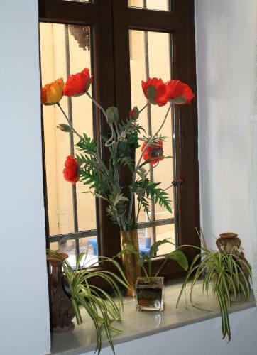 Hostal Anemones Rooms
