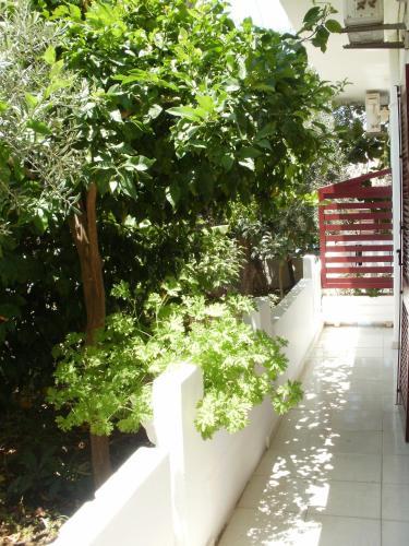 Apartamento Agii Apostoli