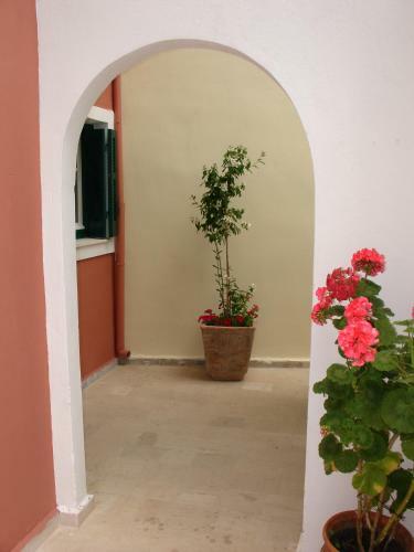 Lena Blue Sea Apartments