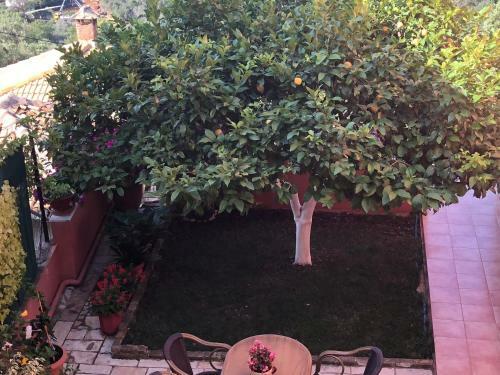 Hostal Spyridonou House