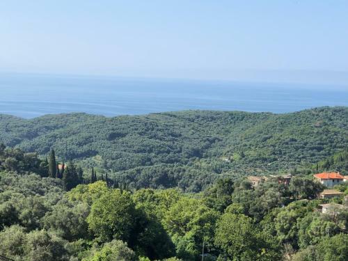 Hostal Spyridonou House