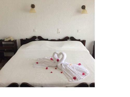 Amalia Hotel