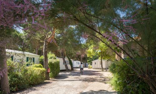 Camping Le Suroit