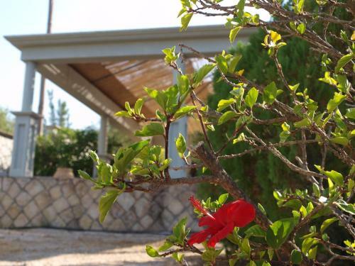 Aristotelis Apartments