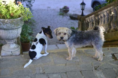 Bed & Breakfast L'annexe Du Ch�teau