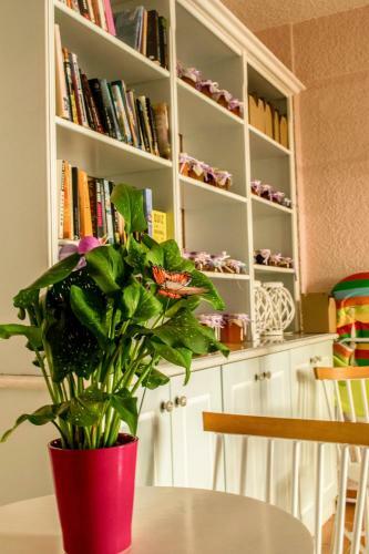 Apartamento Nikis Village