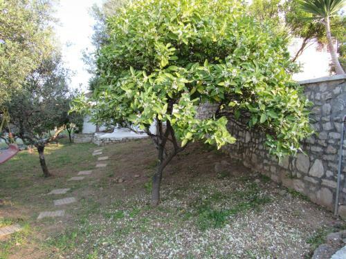 Apartamento Kalypso Guesthouses