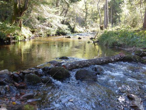 Le Moulin Gitenay - Yourte