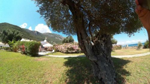 Barbati Beach Holiday Apartment