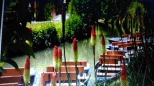 Apartamento Appartement Vue Sur Mer