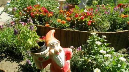 Hostal Marika Vend�gh�z
