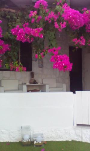 Secret Spot