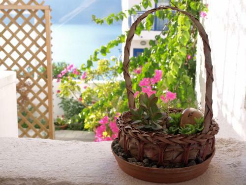 Apartamento Michalis Studios